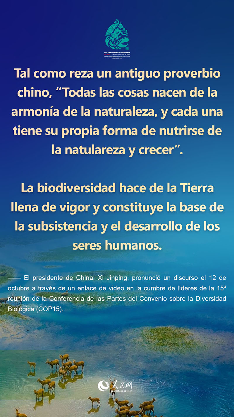 Lo más destacado del discurso del presidente Xi Jinping en la cumbre de líderes de la COP15