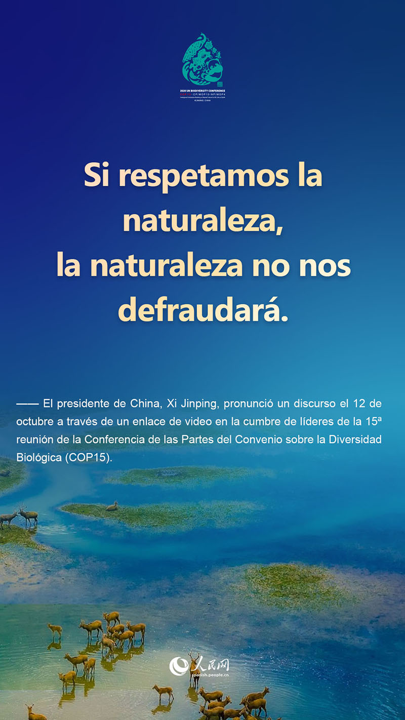 Lo más destacado del discurso del presidente Xi Jinping en la cumbre de líderes de la COP15