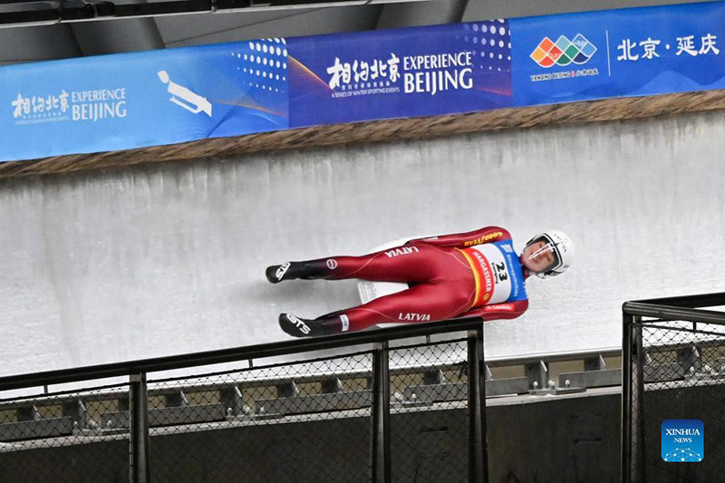 Aspectos destacados de la Copa del Mundo de la Federación Internacional de Luge en Beijing