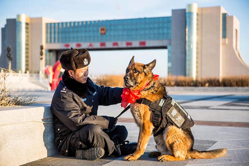 Adiós a 9 perros policía retirados en Mongolia Interior