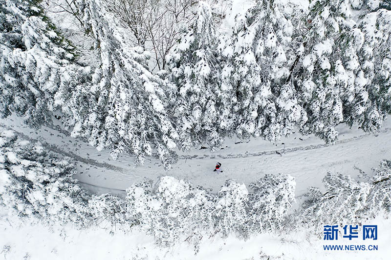 Shuai Xiaoyun de camino a la casa de un aldeano, 10 de febrero de 2022. [Foto: Xinhua]