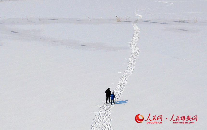 El lago Baiyangdian comienza a descongelarse cuando llega el sol primaveral a Hebei