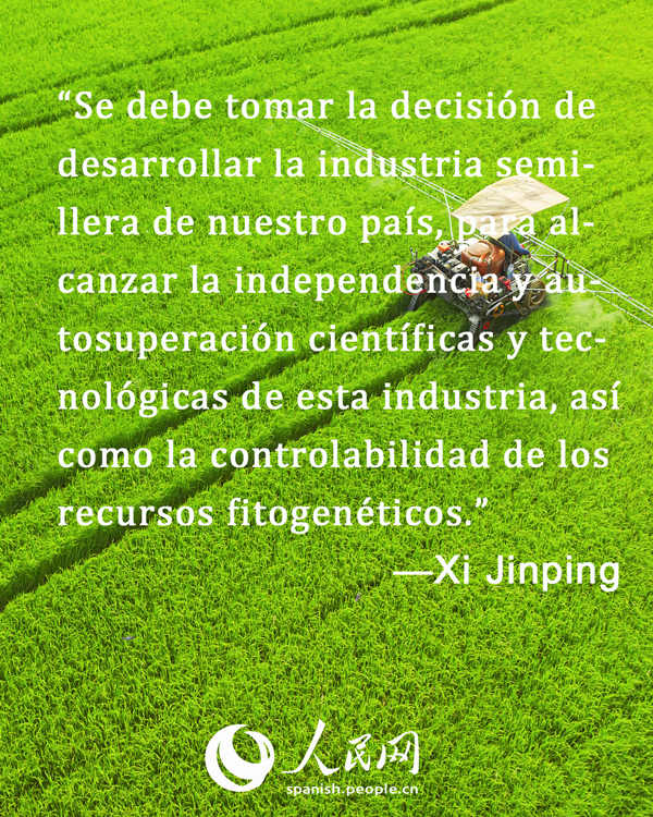 El presidente Xi Jinping recalca la importancia de seguridad alimentaria en las Dos Sesiones