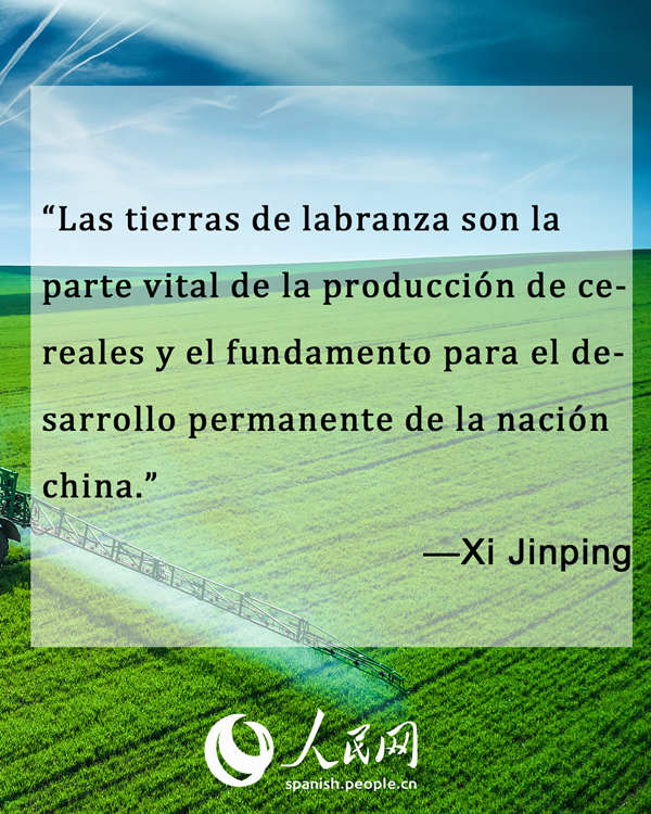 El presidente Xi Jinping recalca la importancia de seguridad alimentaria en las Dos Sesiones