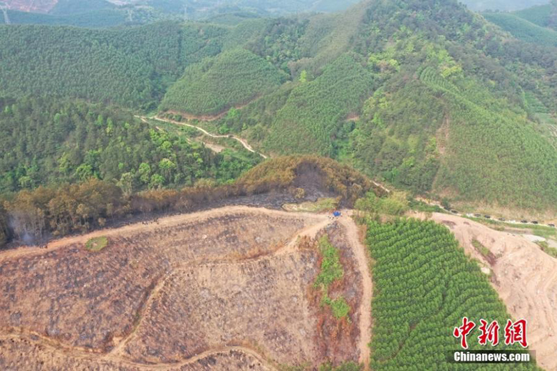 Vista aérea del lugar del accidente del Boeing 737 de China Eastern en Guangxi