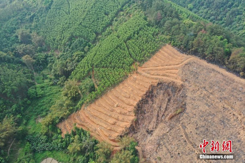 Vista aérea del lugar del accidente del Boeing 737 de China Eastern en Guangxi