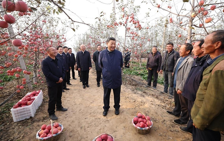 La historia del secretario general del PCCh Xi Jinping y las manzanas